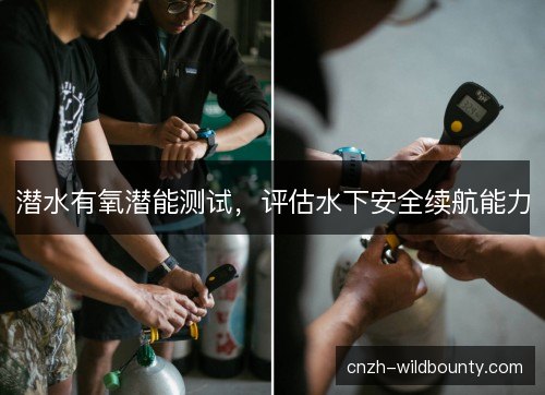 潜水有氧潜能测试，评估水下安全续航能力