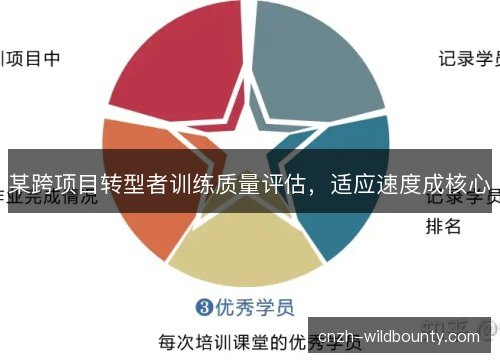 某跨项目转型者训练质量评估，适应速度成核心